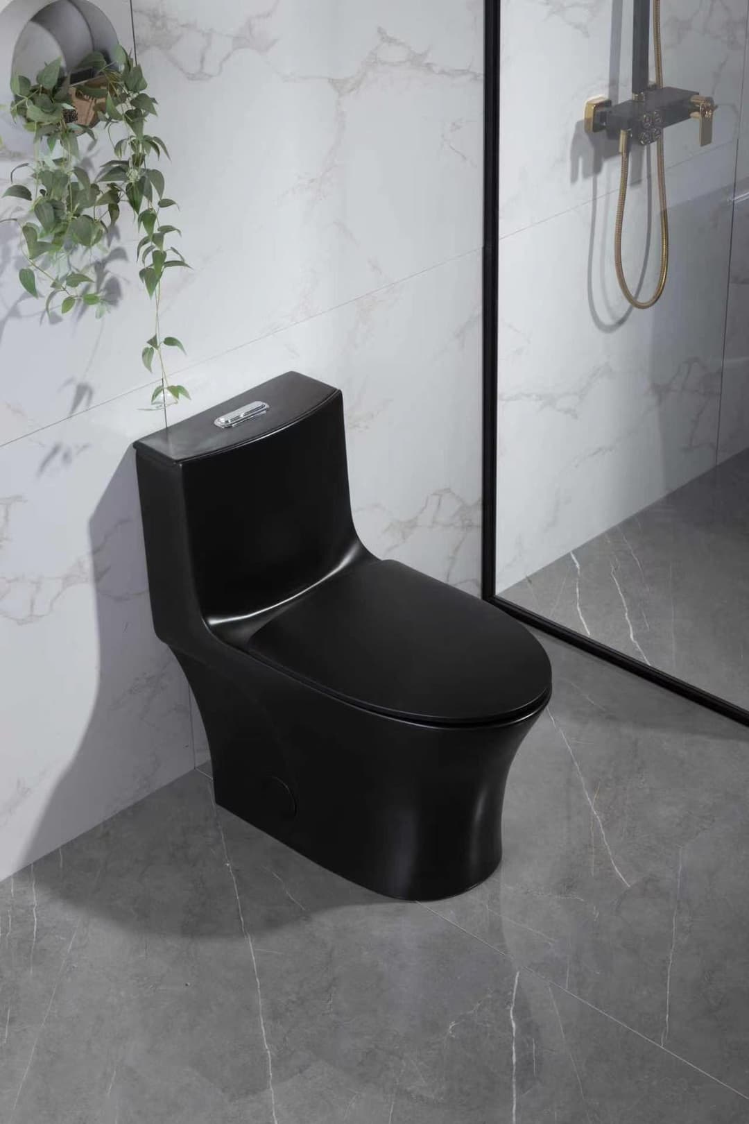 One-Piece Siphonic Toilets